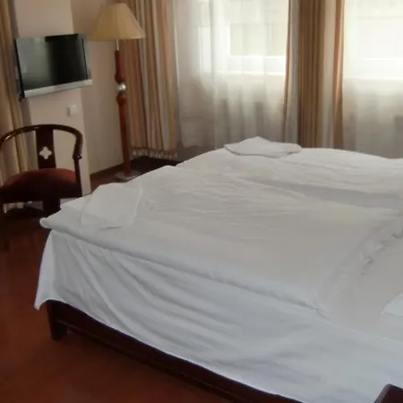 Hotel Hotel Penzion Praga Praha